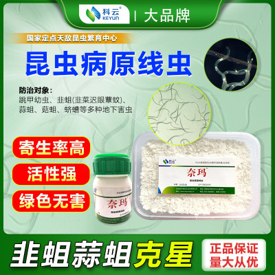 科云病原线虫精准防治韭菇蒜蛆等