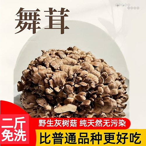 顺丰包邮新鲜灰树花舞茸菌菇2斤1000g特色食材云南栗蘑现摘食用菌