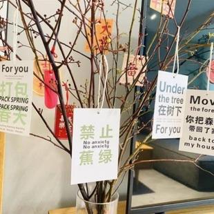 饰布置吊牌盆景水培绿植小挂件搬家入宅小挂饰 2024龙年新年挂件装