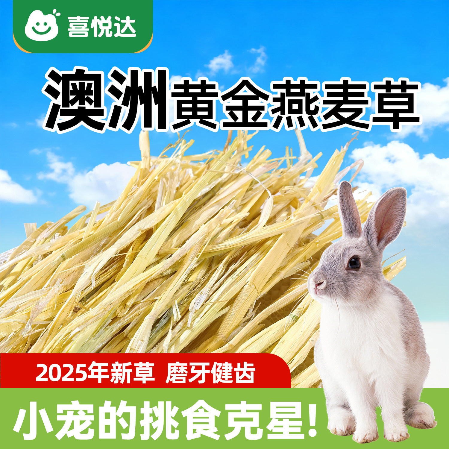 澳洲燕麦草兔子龙猫豚鼠荷兰猪干草黄金燕麦草段宠物饲料晒干澳麦,宠物/宠物食品及用品,兔兔干草,淘宝优惠券,粉丝福利购,淘宝优惠卷