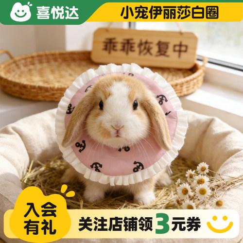 兔子小宠防舔防咬伊丽莎白护理圈