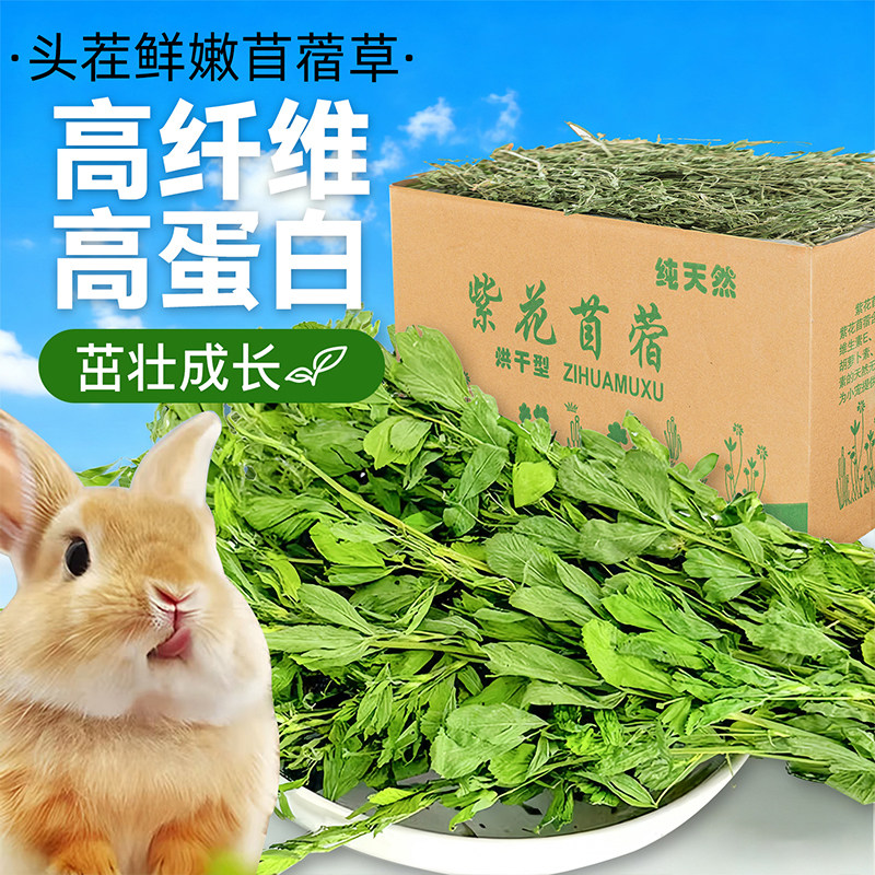 25年烘干紫花苜蓿草幼兔专用牧草龙猫豚鼠荷兰猪粮食兔子食用干草