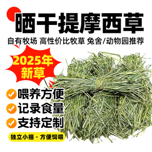 提摩西草烘干提草兔子食用草饲料龙猫荷兰猪草料兔草粮食晒干牧草