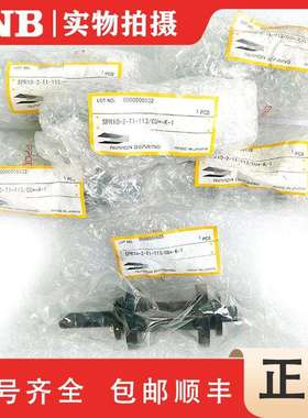 NB 滚珠花键 SSP4 SSP6 SSP8 SSP10 SSP13A SSP16A SSP20A SSP25A