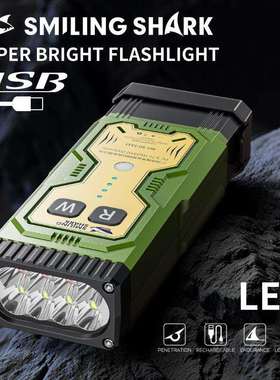 Outdoor lighting charging multi-function work light flashlig