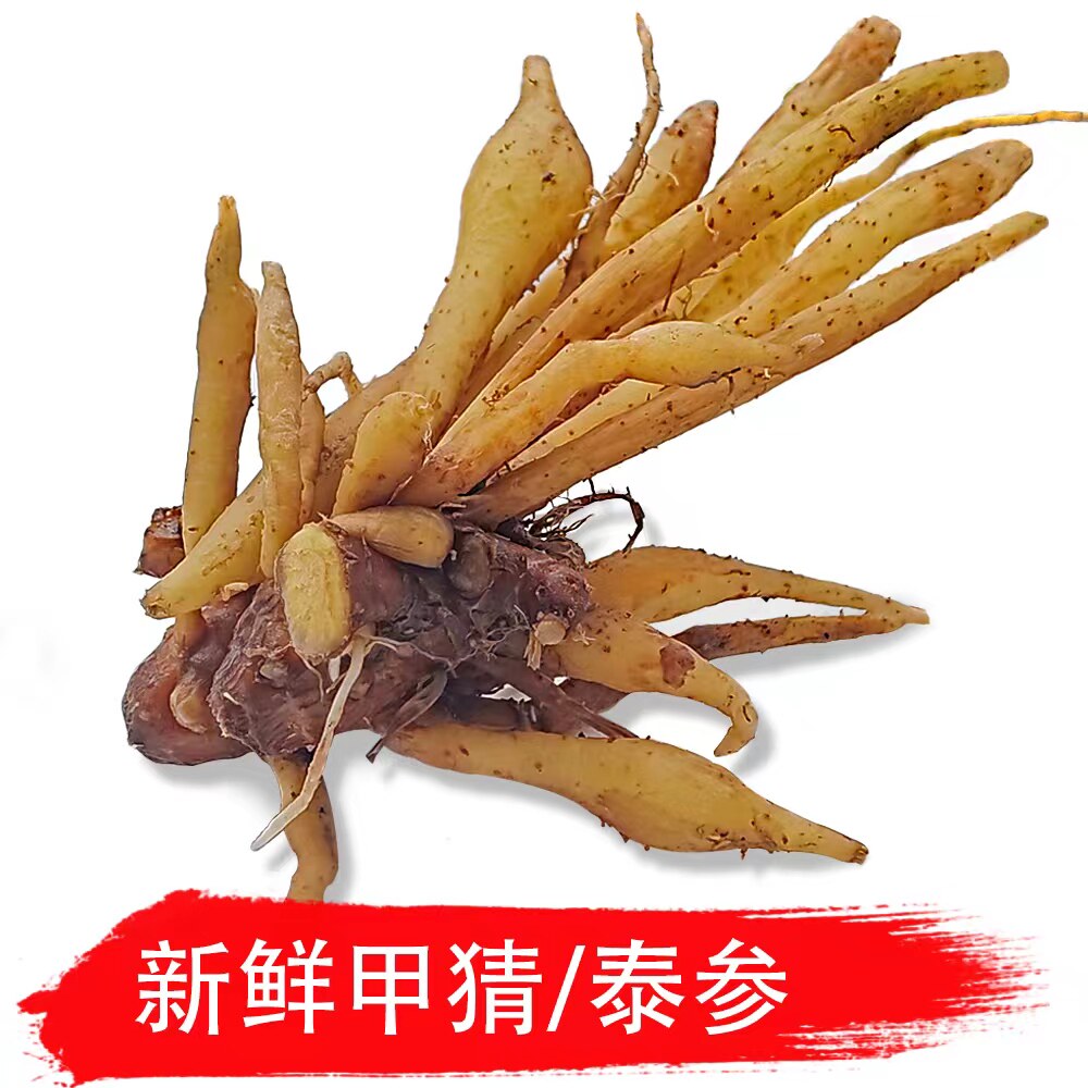 新鲜甲猜泰国餐厅食材泰国沙参加猜高莎草甲菜 夹菜 架菜莎草甲菜