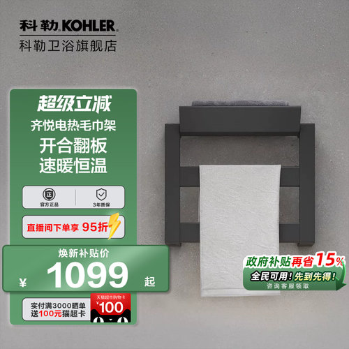 科勒官方旗舰店电热毛巾架