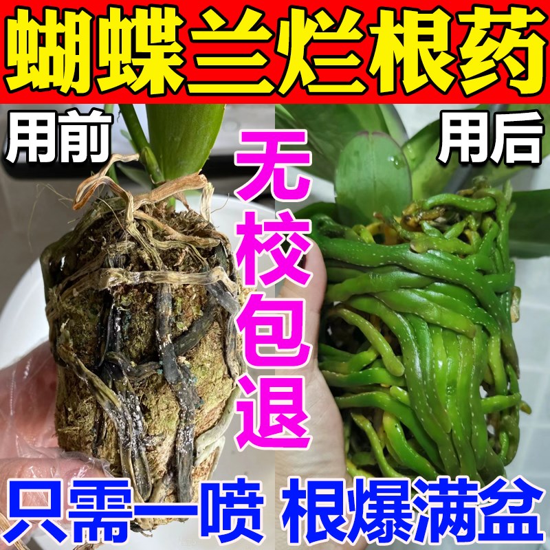 速发蝴蝶兰烂根药强力生根药水复活兰花死棵急救壮苗剂营养液