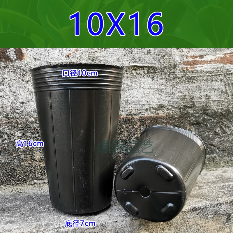 速发兰花防老种营养钵育苗盆袋色育苗黑塑料化植袋扦插花盆育苗杯
