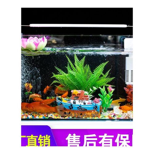 速发热弯鱼缸超清玻璃小型水族箱桌面客厅家用水草造景生态乌龟缸