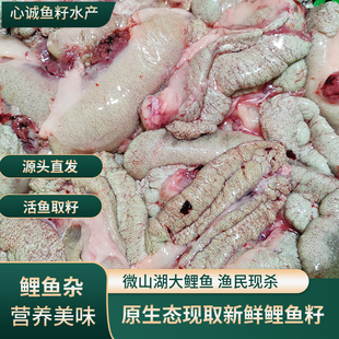 新鲜鲤鱼籽鱼籽酱鱼白鱼泡鱼杂鱼蛋鱼子鱼卵新鲜鱼蛋新鱼三宝鱼肚