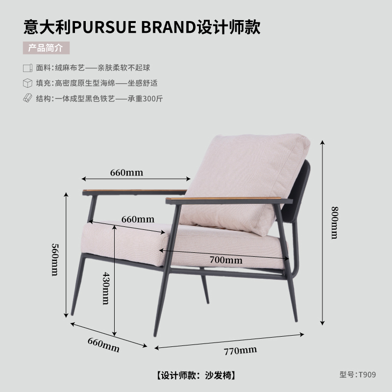 轻奢极简单人沙发椅咖啡厅客厅北欧阳台休闲沙发R椅会客接待老虎