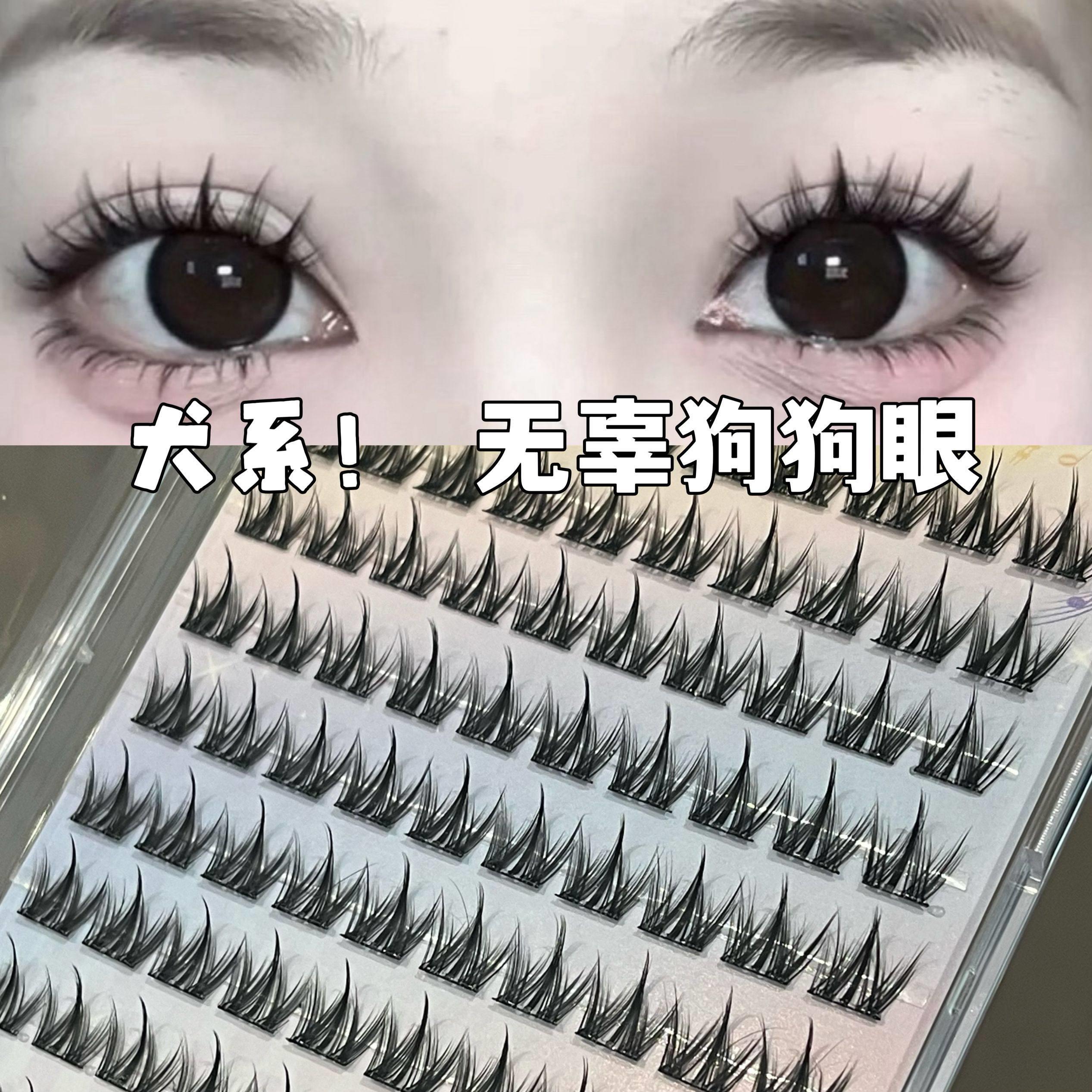 免胶100簇犬系睫~懒人小奶狗漫画眼睫毛假睫毛超自然新手果冻胶