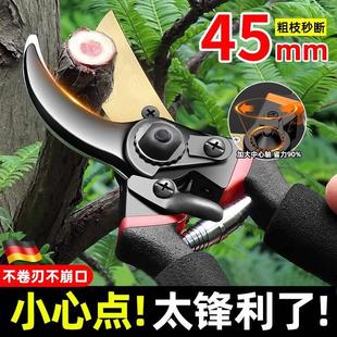 德国剪树枝专用剪刀修树花剪子修剪V枝粗枝省力sk5园园艺林果家用
