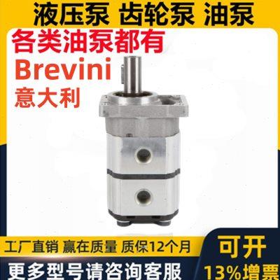 BREVINI双联齿轮泵OT100P07+07D/GT16P1马达BGS160 OT200M14D