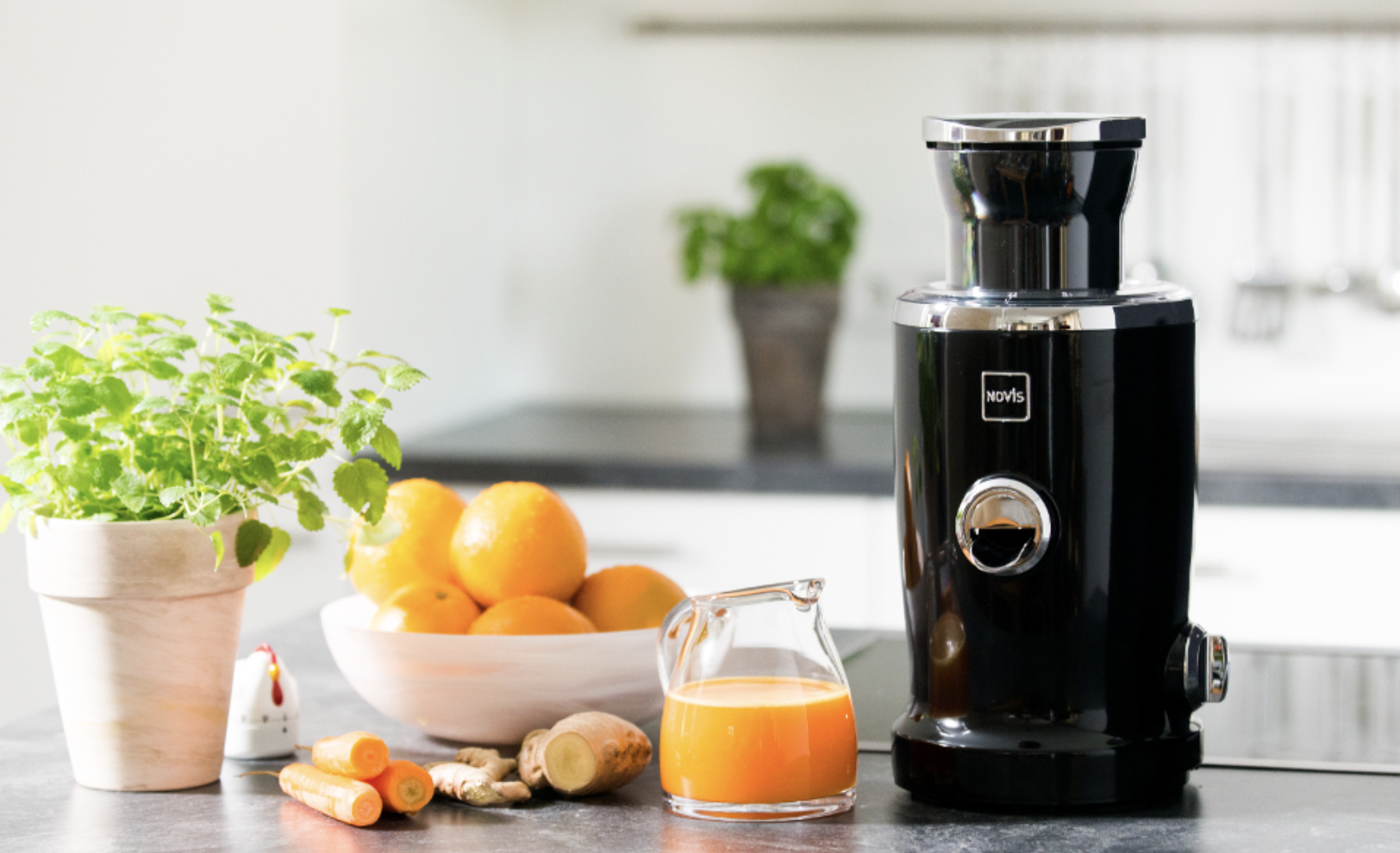 德国直邮瑞士NOVIS Vita Juicer高端多功能原汁机 榨汁机 果汁机