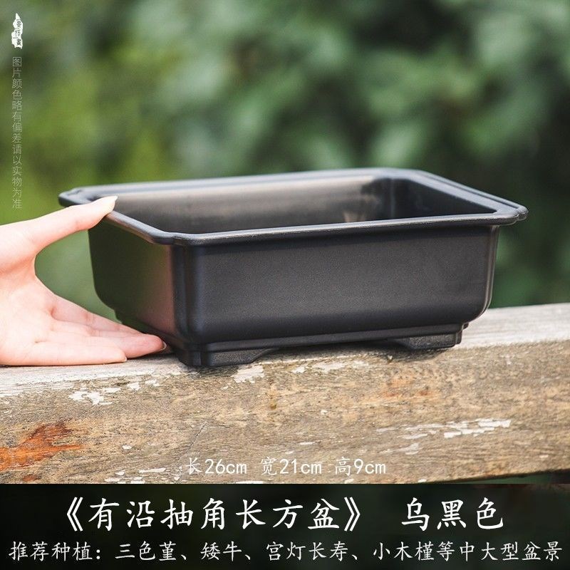速发梅花用盆树脂紫方形花盆家花花盆仿长砂陶瓷多肉花盆塑料花松
