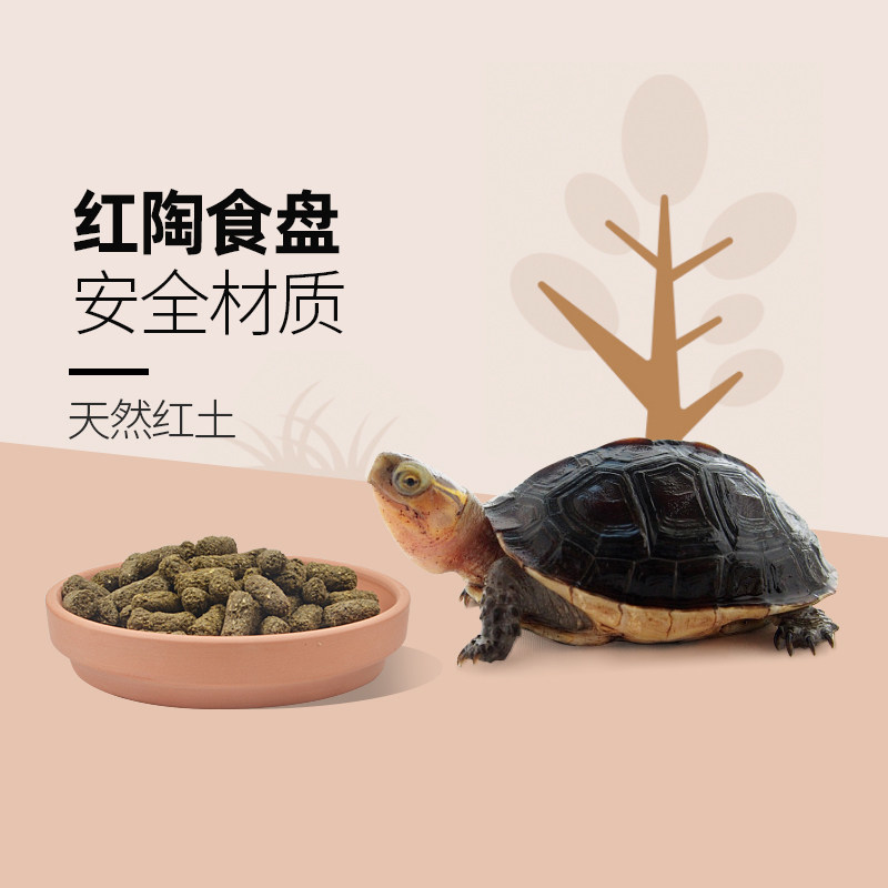 速发乌龟食盘黄缘龟宫养环境造景用品爬虫角蛙蜥蜴守陶饲瓷食盘饮