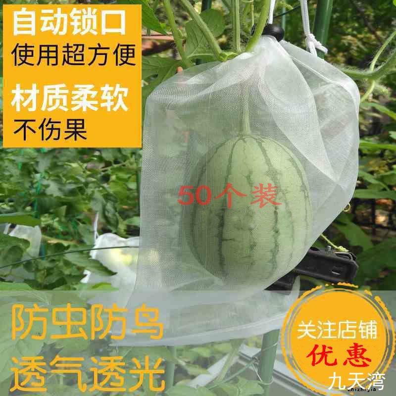 速发西瓜丝网袋南瓜冬瓜黄瓜丝瓜苦虫袋子瓜瓜瓢瓜套袋专用袋防节