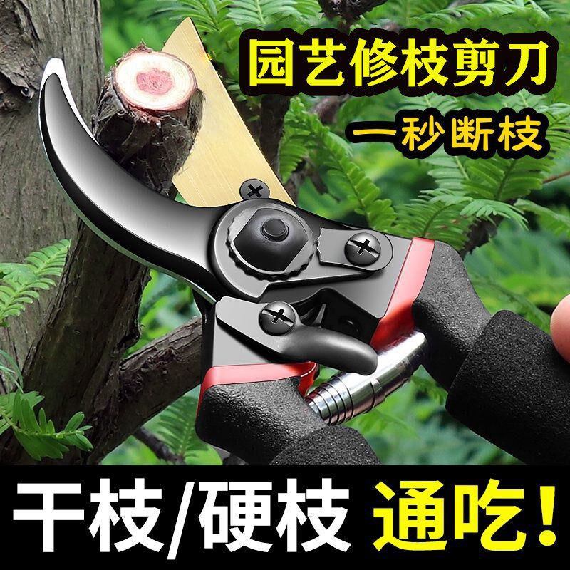 速发果树剪修枝剪刀钢剪树剪子家用花木萄葡修剪镐强力斧SK5钢专
