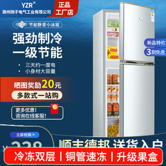扬子电气小冰箱家用小型冷冻冷藏迷你宿舍出租房二人一级能效节能