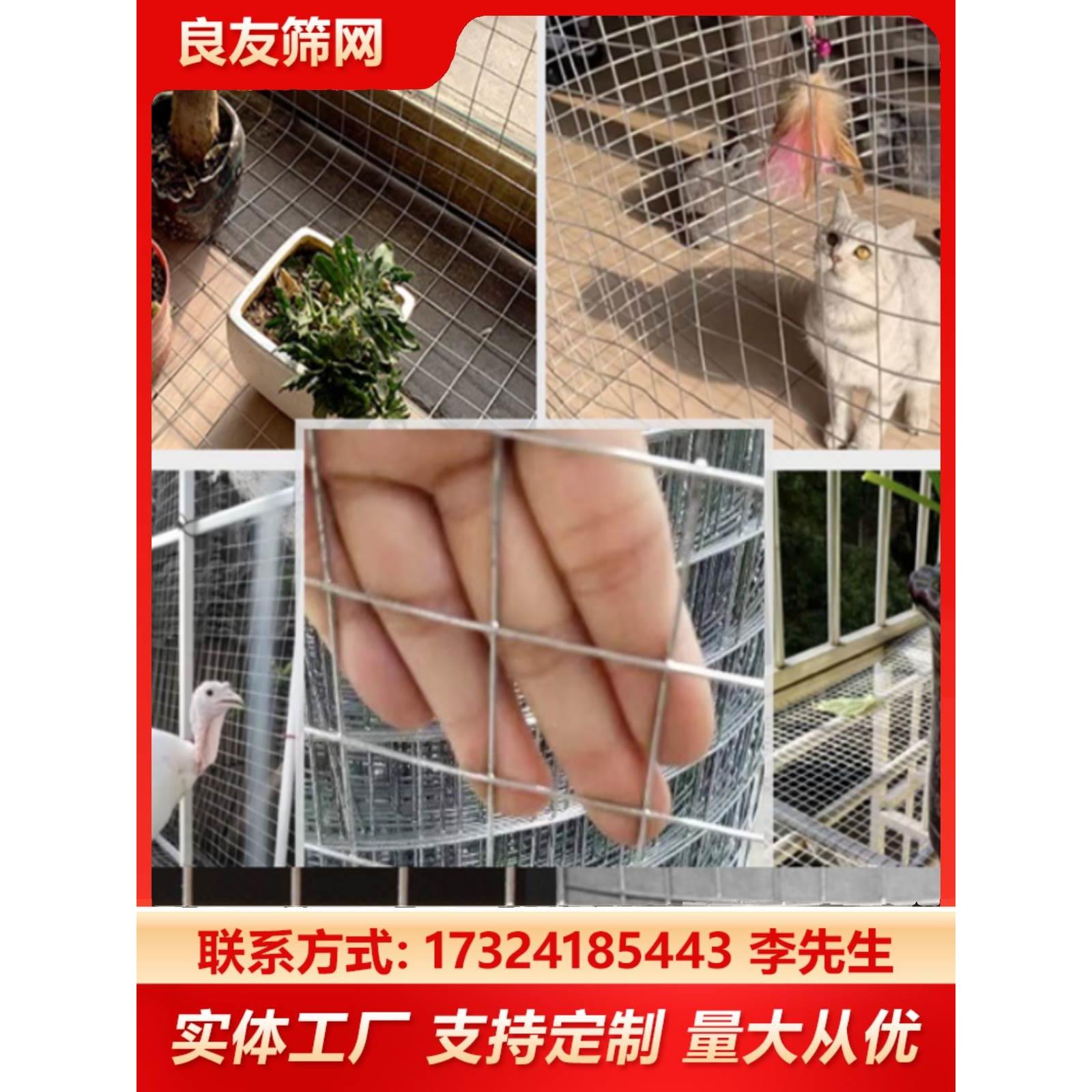 热镀锌电焊网镀锌铁丝网电焊网养殖网钢丝防护栏家用防鼠网安全网