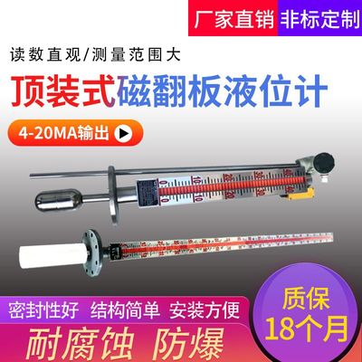 防腐高温高压磁性翻板浮子油水化工远传液位计4-20mA磁性开关报警