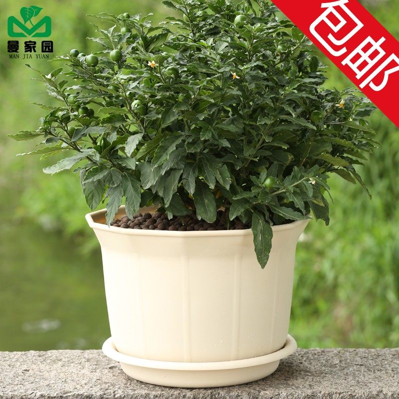 花盆塑料加厚家用大号特大号清仓阳台专用绿植花卉多肉吊兰树脂盆,个性定制/设计服务/DIY,明信片定制,淘宝优惠券,粉丝福利购,淘宝优惠卷