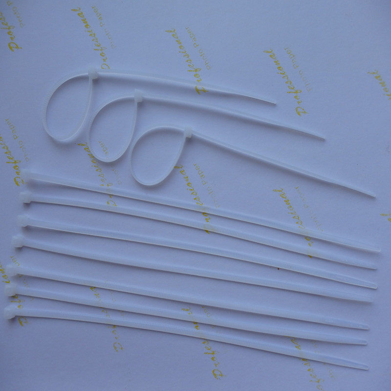 塑料网菜园围网土工格栅养殖鸡鸭隔离窗户阳台围栏网护栏网防猫鼠,个性定制/设计服务/DIY,明信片定制,淘宝优惠券,粉丝福利购,淘宝优惠卷