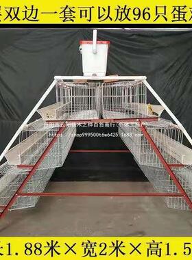 热镀锌蛋鸡笼养殖场阶梯式蛋鸡笼4门养鸡笼全套自动滚蛋鸡笼