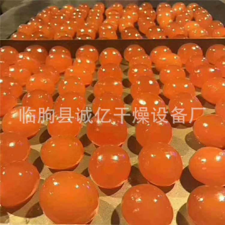 蛋黄烘干机 热风智能烘干设备 咸蛋黄 鸭蛋黄 鸡蛋黄烘干箱