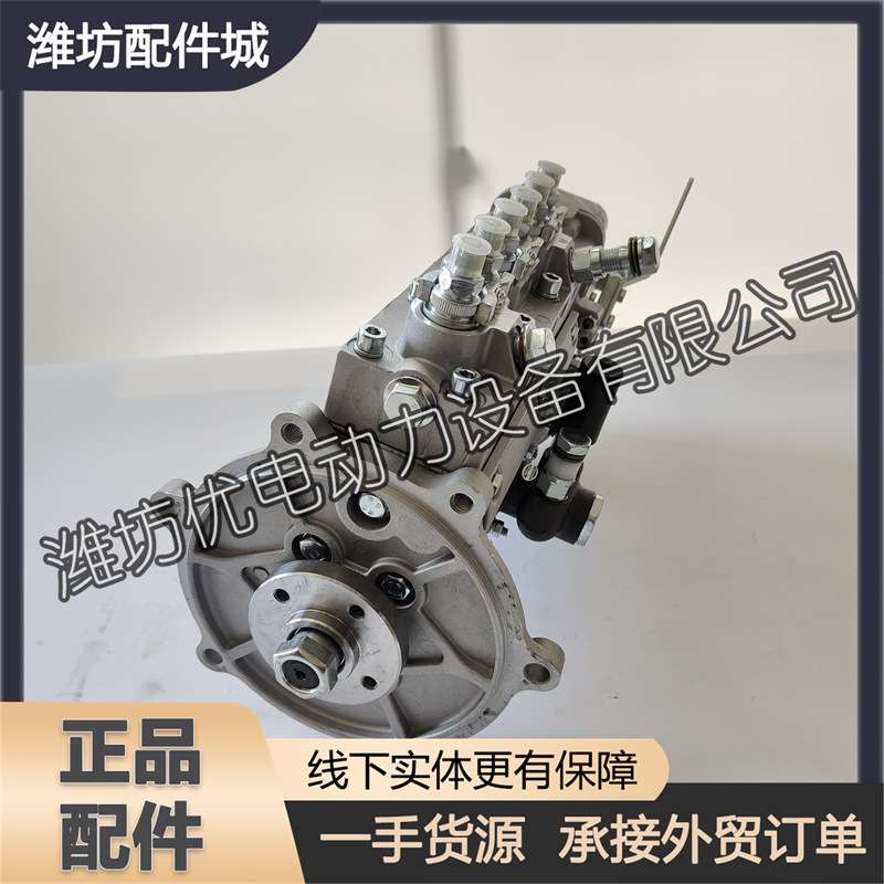 潍坊6105潍柴6108柴油发动机6110发电机组喷油泵 高压油泵 柴油泵