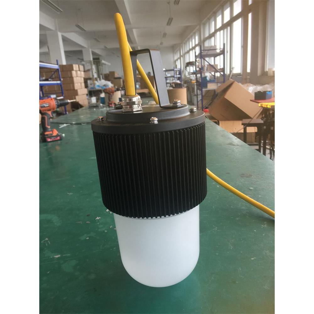 LED防爆行灯60W 手提式24V 36V 220V 大功率低压行灯FW6320