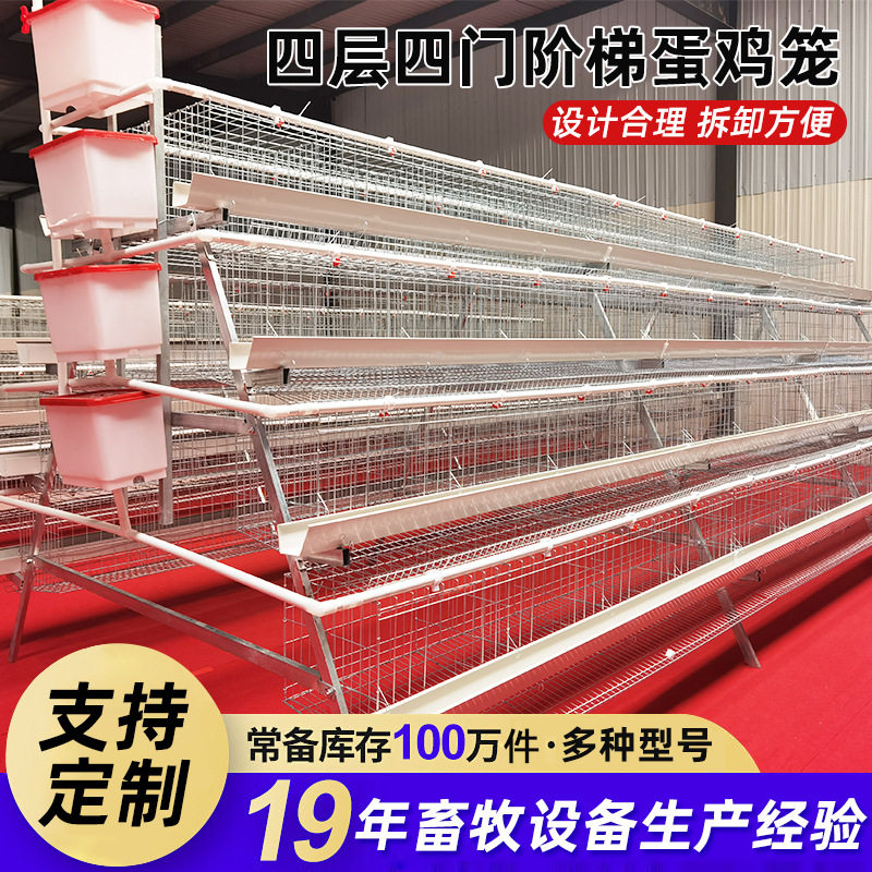 多层鸡笼四层四门阶梯蛋鸡笼 鸡舍栖息架 养鸡场专用滚蛋鸡笼子