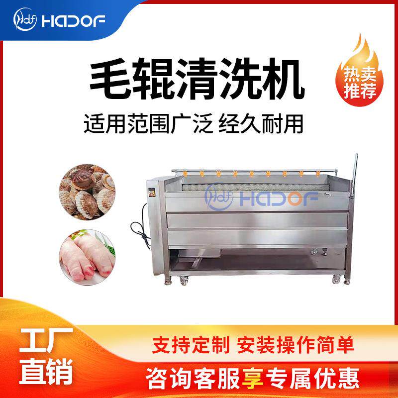 商用芋头地瓜蜜薯去皮清洗设备胡萝卜生姜黄精荸荠毛辊清洗机自动