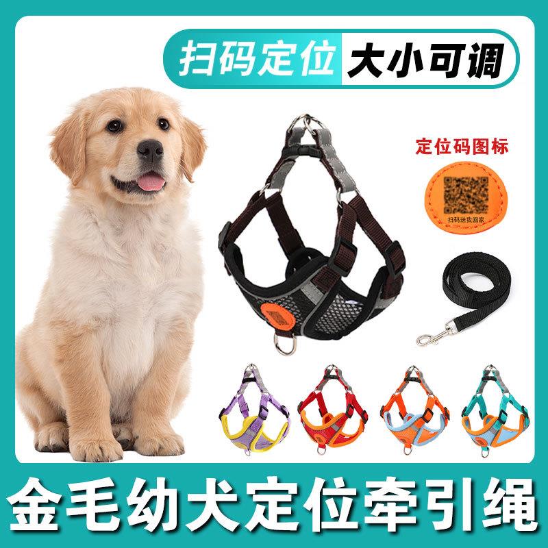 金毛小狗狗专用牵引绳胸背带幼犬背心式外出遛狗绳子可调节防爆冲