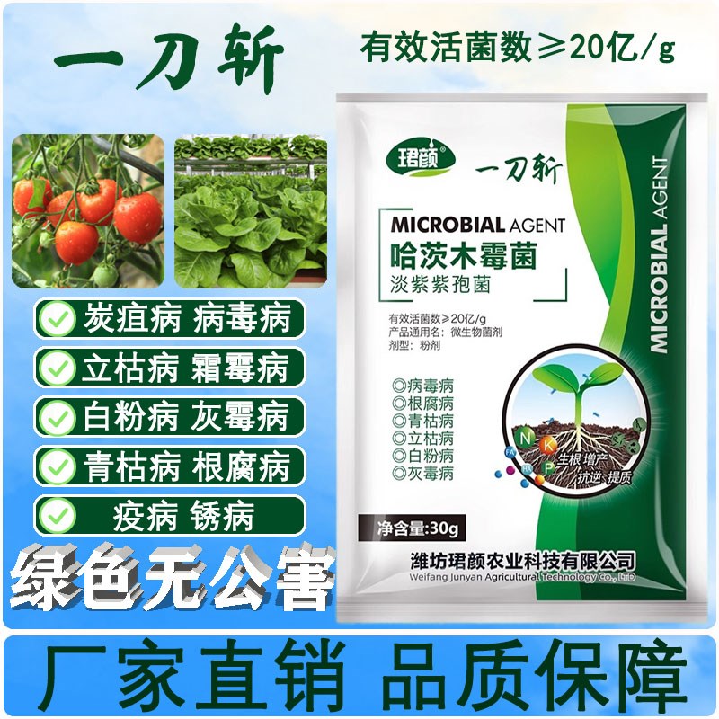 速发一刀斩哈茨木菌霉淡紫茬孢菌预防缓解抗重紫蔬菜
