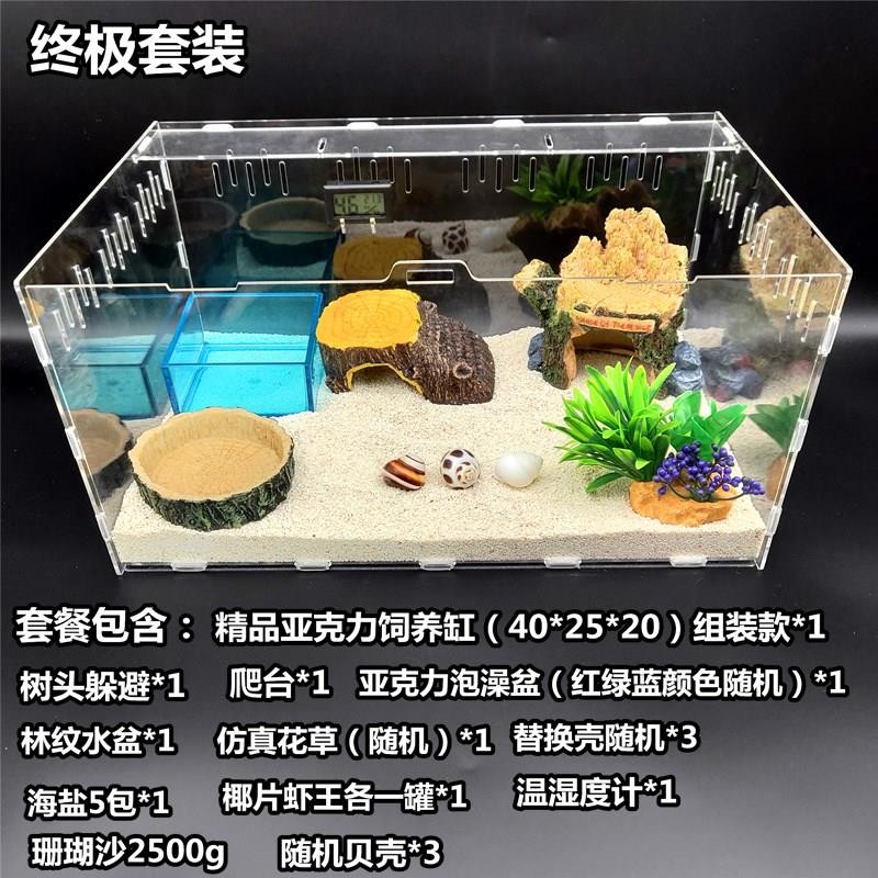 速发。寄居蟹新手儿i童套装 草莓 短腕 深紫 灰白寄居蟹 主题套装