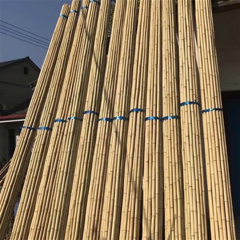 速发竹竿装饰碳化防腐竹2米米4米毛竹楠竹民宿隔断吊顶粗细竹子装