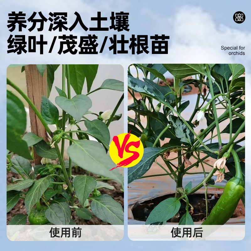 速发辣椒缓释肥家用椒彩椒青椒盆栽控释肥料蔬菜通用型颗粒肥