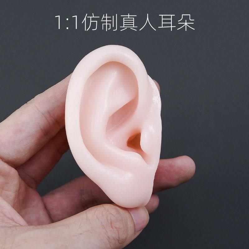 速发假耳朵义耳采耳模型耳朵穴位模型人体硅胶模型假耳不带耳道