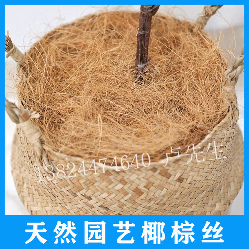 速发椰棕丝装饰花盆覆盖草填充耶丝多肉铺面石花卉盆栽鸟窝绿植物