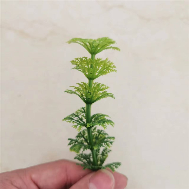 速发植物六层草中香草 工艺装饰鱼缸造景水族草 插花塑料水草配件
