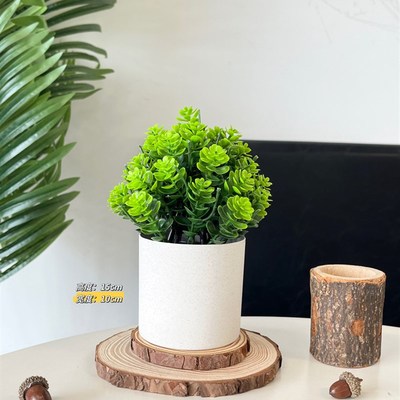 速发花摆件绿植盆景小盆栽迷你桌面摆件客厅酒柜装饰电视柜装饰品