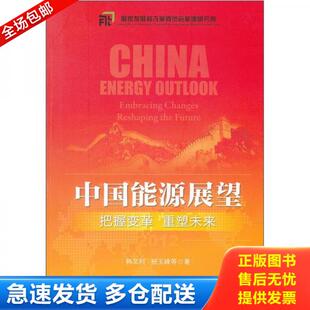 正版库存书9787513617444 中国能源展望 把握变革重塑未来 embracingchangesreshapingthefuture 韩文科,杨玉峰　等著 中国经济出