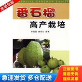钟思强 番石榴高产栽培 黄树长 编著 社 正版 金盾出版 库存书9787508250526