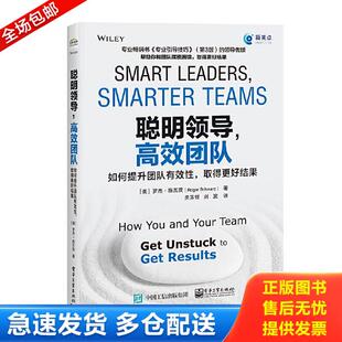 高效团队：如何提升团队有效性 取得更好结果 美 正版 罗杰·施瓦茨 聪明领导 RogerSchwarz 电子工业出 库存书9787121379628