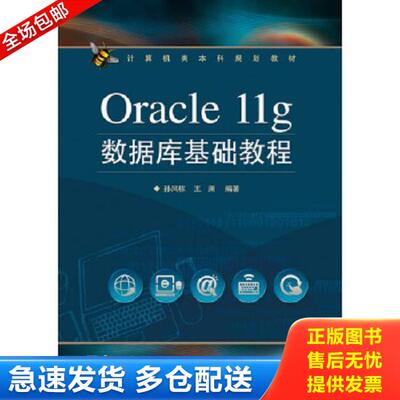 正版库存书9787121220517 Oracle11g数据库基础教程/计算机类本科规划教材 孙风栋 电子工业出版社