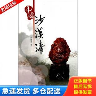 正版库存书9787539324593 中国沙漠漆 商建堃 海峡出版发行集团；福建美术出版社