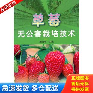 正版库存书9787547803332 草莓无公害栽培技术 颜伟中　主编 上海科学技术出版社